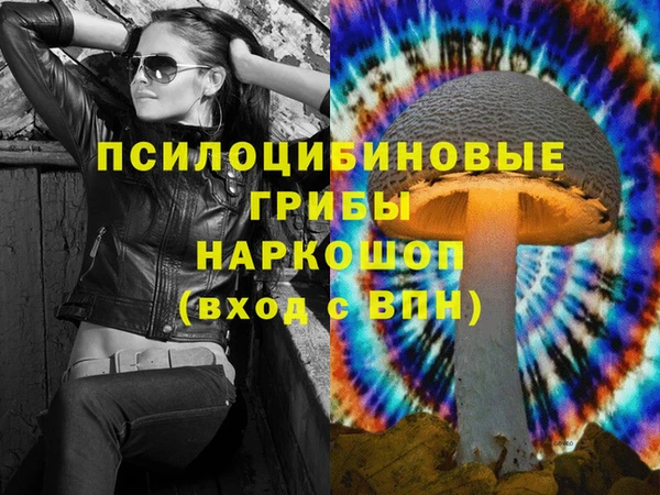 винт Алексеевка
