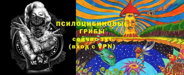 Альфа ПВП Алексин