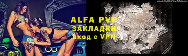 шишки Алзамай