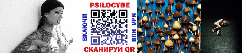 Галлюциногенные грибы Cubensis  мориарти какой сайт  Полтавская  где можно купить наркотик 